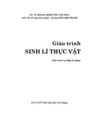 Book's cover